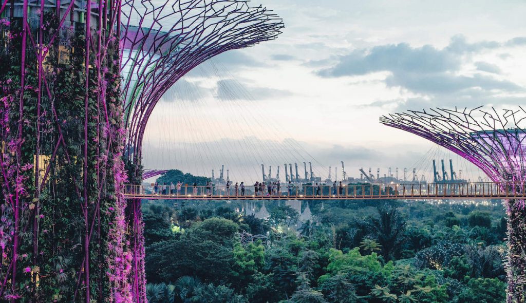 tourist spot in Singapore with forest