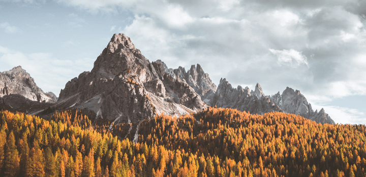 the mountain and the forest in the autumn